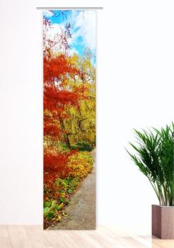 Herbstfarbenerlebnis, Flächenvorhang Einzel